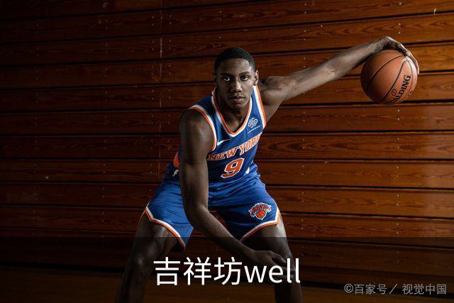 吉祥坊well公司简介